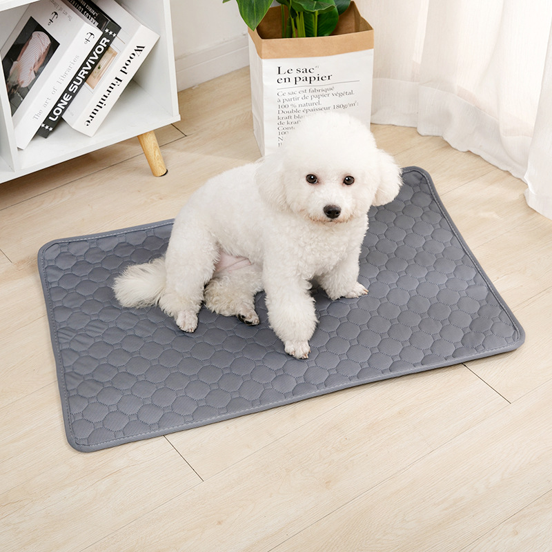 وسادة قابلة لإعادة الاستخدام ل - مراجعة Carriage Bed وسعره